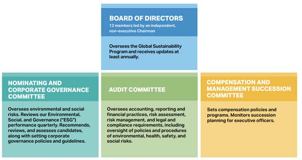 Board and Management Oversight
